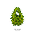 FUGUKU HAND BAG - FUGU MINI - FOREST GREEN