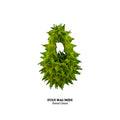 FUGUKU HAND BAG - FUGU MIDI - FOREST GREEN