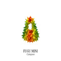 FUGUKU HAND BAG - FUGU MINI - CALYPSO