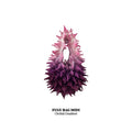 FUGUKU HAND BAG - FUGU MIDI - ORCHID GRADIENT