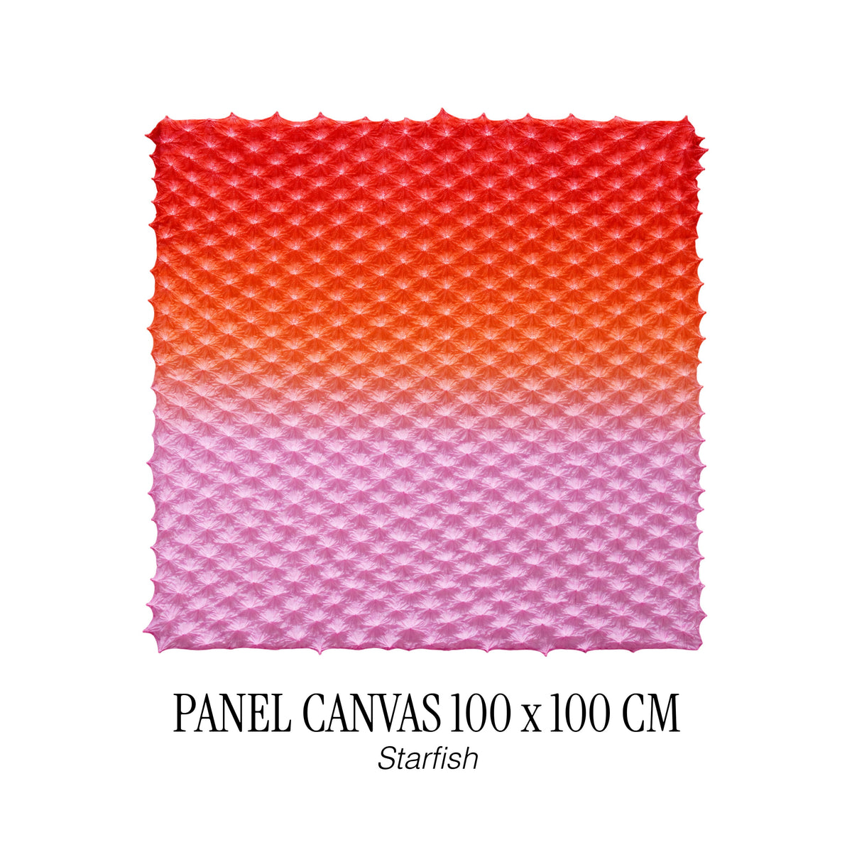 PANEL CANVAS 100 X 100 CM - STARFISH
