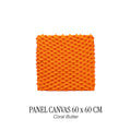 PANEL CANVAS 60 X 60 CM - CORAL BUTTER
