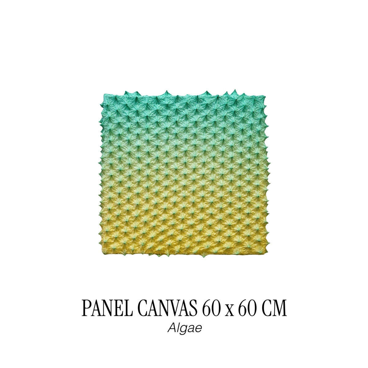 PANEL CANVAS 60 X 60 CM - ALGAE