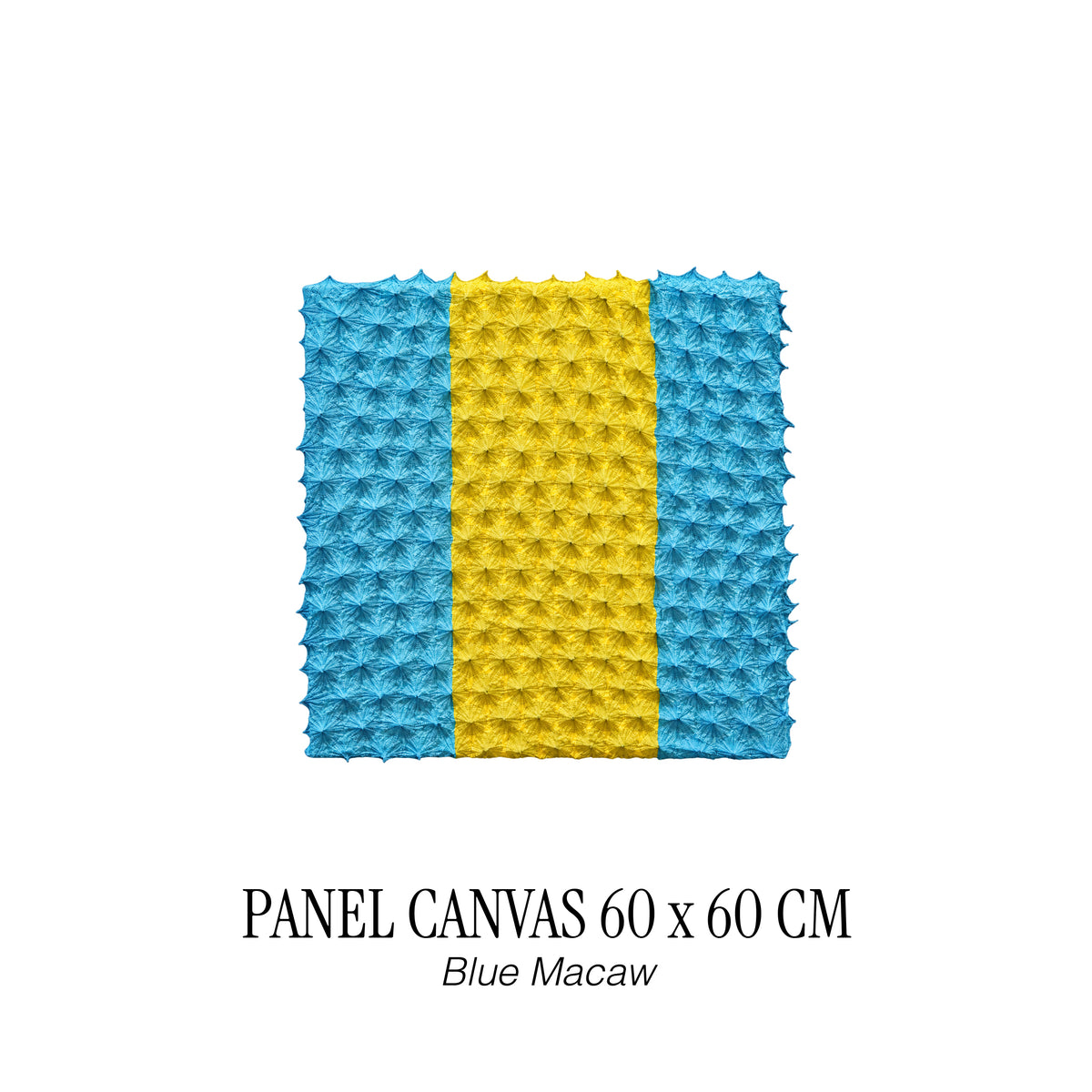 PANEL CANVAS 60 X 60 CM - BLUE MACAW
