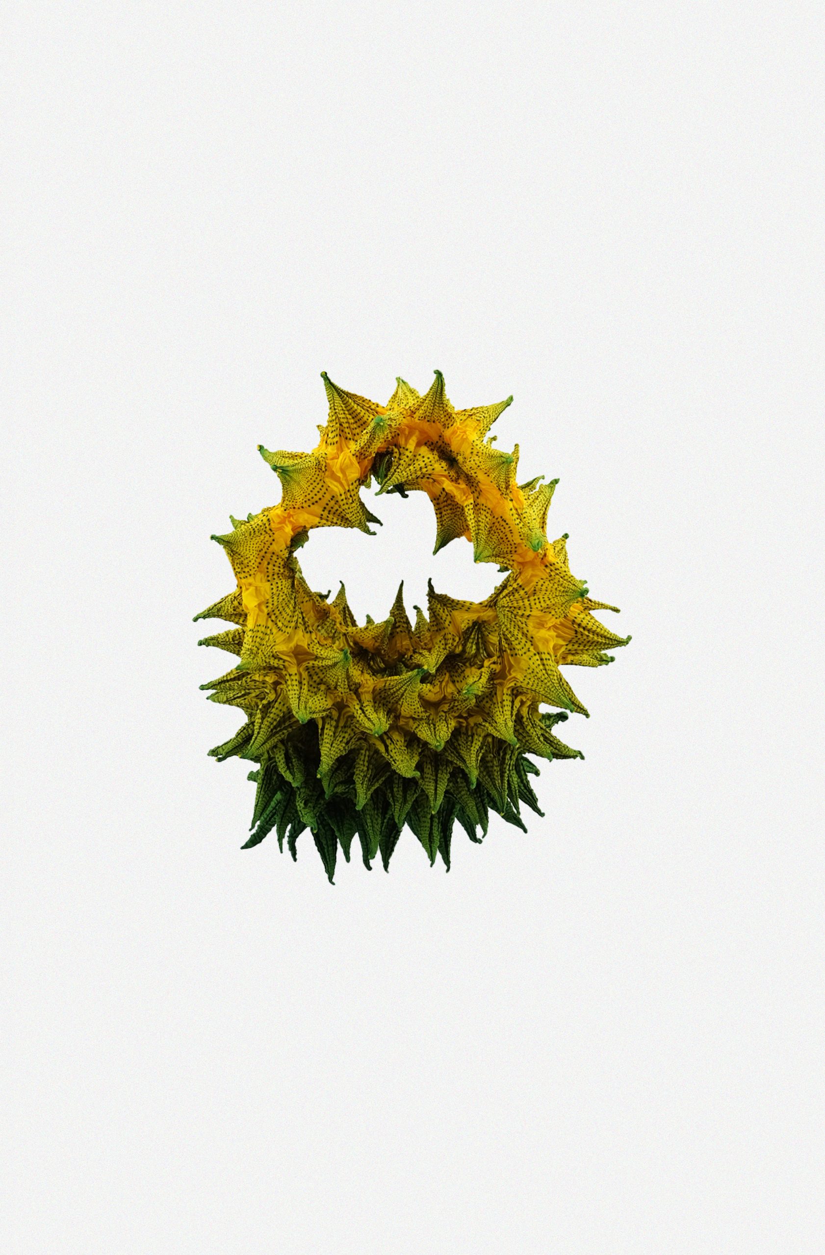 FUGU MAXI ALOE PINE Fuguku fugu-maxi-aloe-pine-fuguku