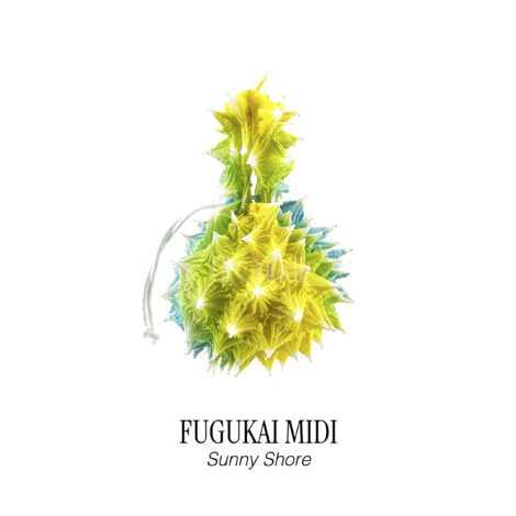 1757932463283-fugukai_midi__sunny_shore_-scaled