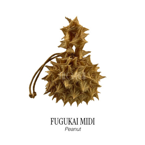 561-fugukai_midi__peanut_-scaled