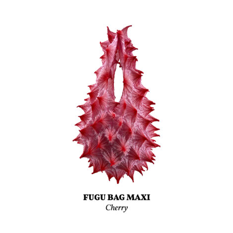 White sand beach mobile phone wallpaper drone shot