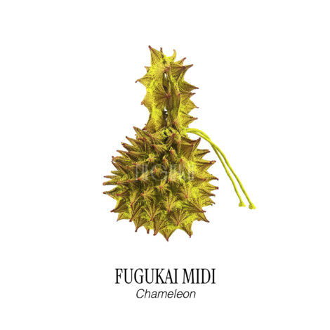 fugukai-fugukai_midi__chameleon_-scaled