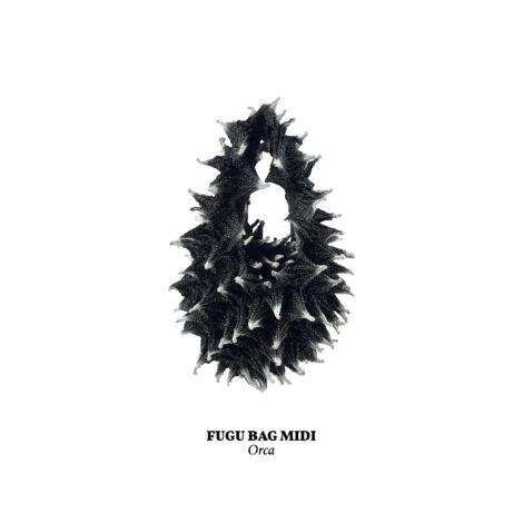 1734365857417_orca__midi___1_-scaled