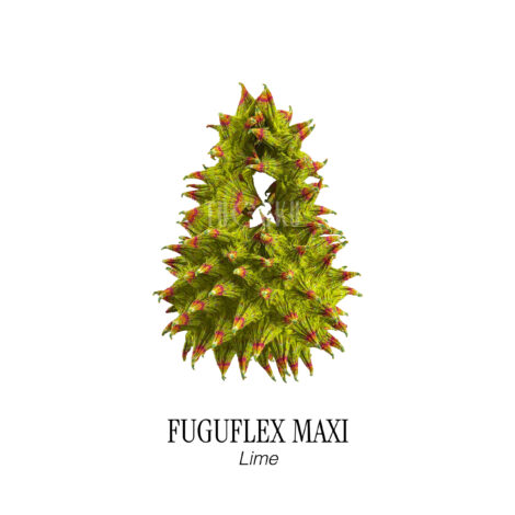 749-fuguflex_maxi__lime_-1-scaled