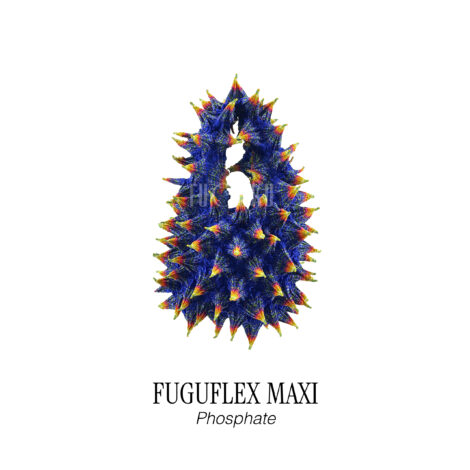 White sand beach mobile phone wallpaper drone shot