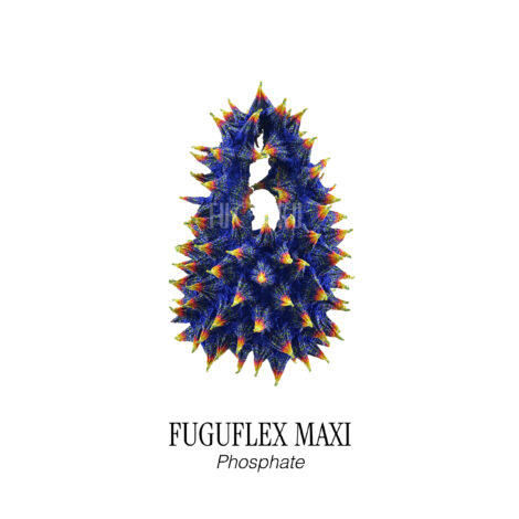 750-fuguflex_maxi__phosphate_-1-scaled