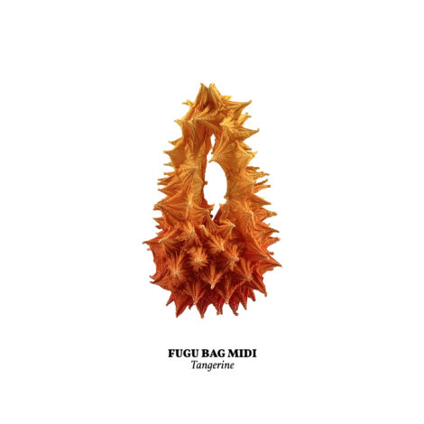 tangerine__midi_-scaled