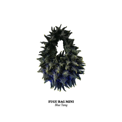 1734365828802_blue_tang__mini_-scaled