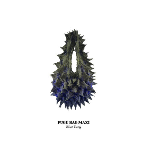 1734365861460_blue_tang__maxi_-scaled