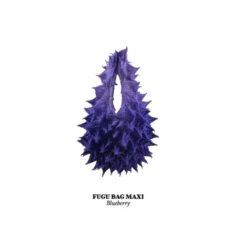 blueberry__maxi_-scaled