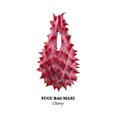 cherry__maxi_-scaled