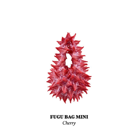 cherry__mini_-scaled